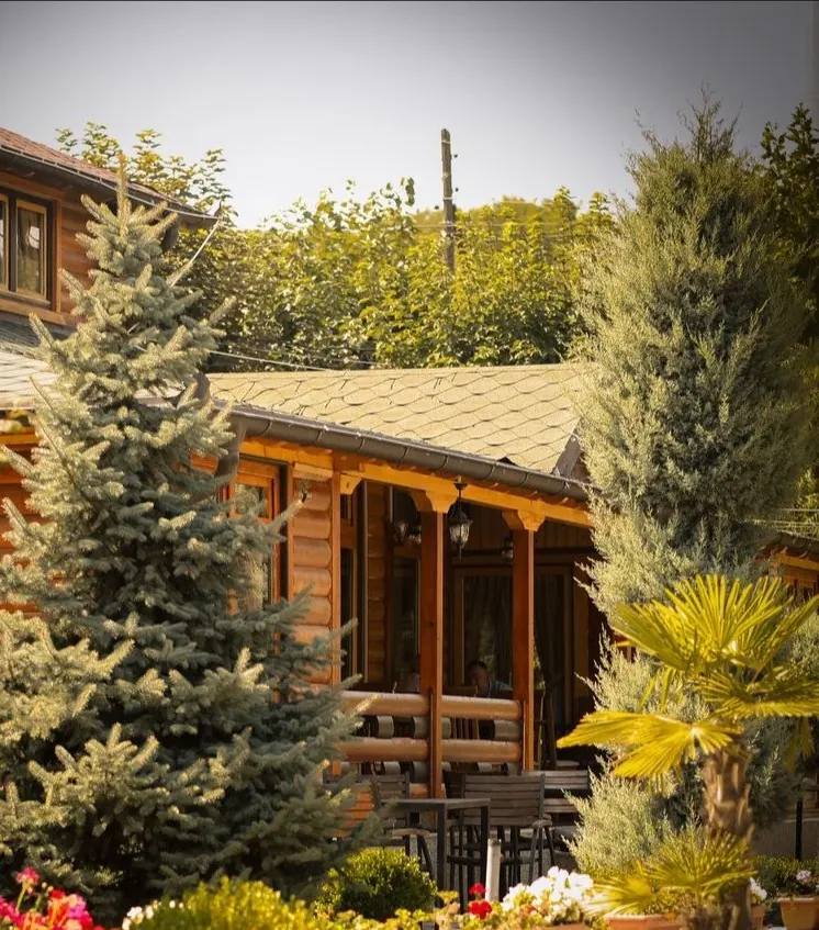 The wooden chalet behind spruce trees and flower pots